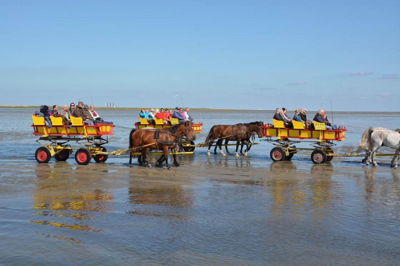 Luettje Huus Frieda Mit Strandkorb Am Strand Von Mai Bis September Cuxhaven Dış mekan fotoğraf